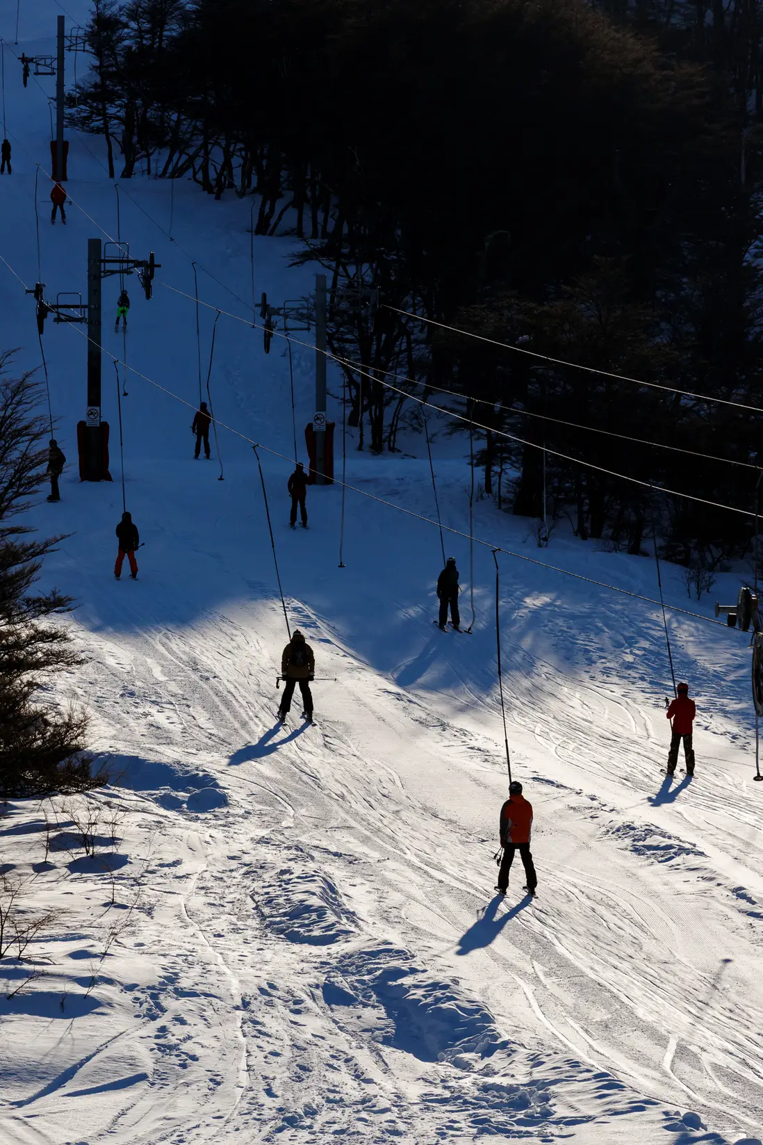 Trippers invierno 11