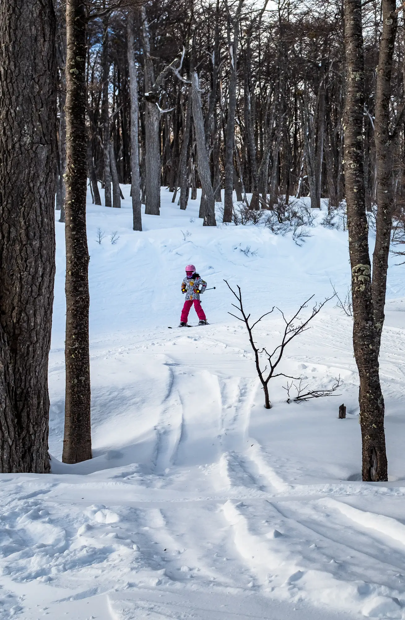 Trippers invierno 21